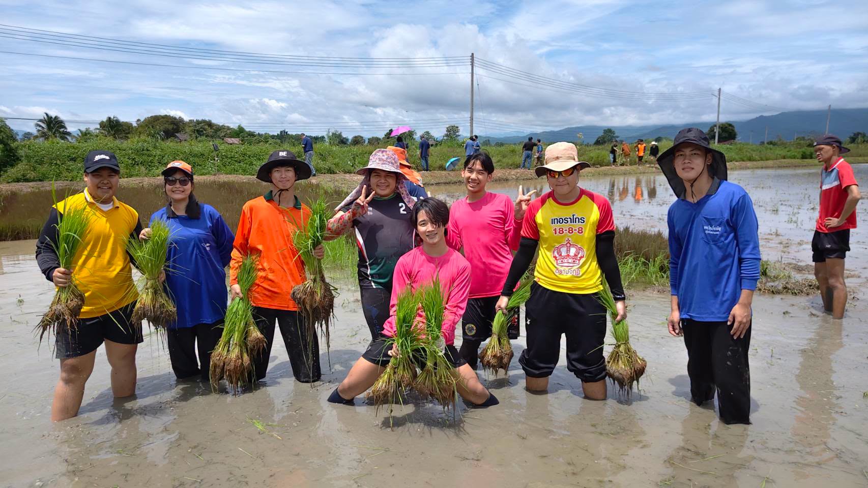 ภาพกิจกรรม